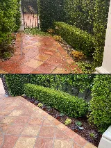Socal Landscape & Gardening photo 3