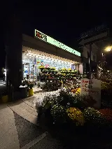 Powered Electric Niagara photo 5
