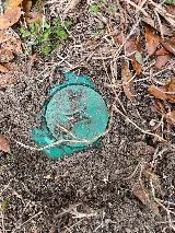 Modern Exterminating Company, Inc. photo 7
