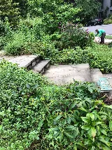 CORTEZ LAWN & LANDSCAPING INC. photo 3