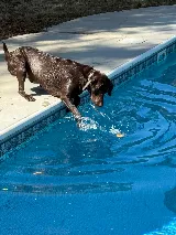 ASP - America's Swimming Pool Company of Columbus photo 5