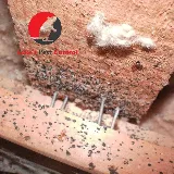 Luke's Pest Control photo 4