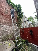 UDS Philly Landscaping and Removal photo 5
