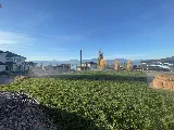 Lakeview Landscaping Inc. photo 9