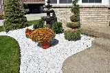 Tampa landscape solutions photo 8