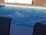 Tony's Services Inc./Tony's Pool Service photo 4