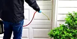 Boswell Pest Control Shreveport photo 8