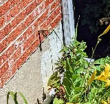 Cecil's Heating & Air Conditioning Inc. photo 4