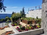 Pacific Landscaping, Inc. photo 6