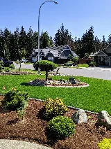 TyDe Garden and Landscape Design Courtenay photo 4
