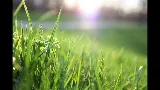 Landscaping Pro LLC
