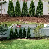 BellaVista Landscaping photo 7