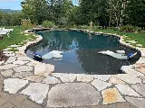 Eastern Aquatics photo 3