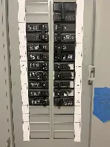 R Pro Electric photo 2