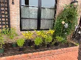 956 Irrigation & Landscaping LLC photo 8