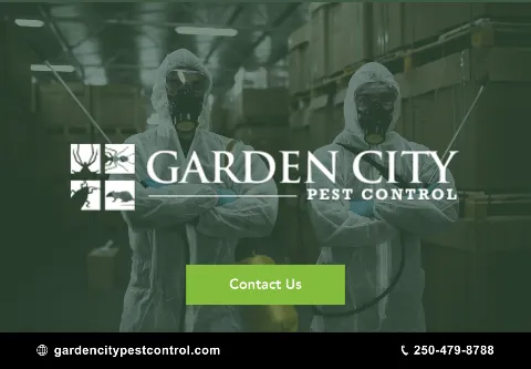 Garden City Pest Control in Victoria
