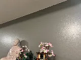 GJ Pro Painting photo 5