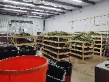 Crown Electric Services photo 6