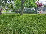 Niko's Gardening Inc. photo 5
