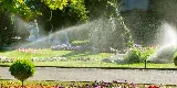 SouthWest Environments Landscape Services photo 4
