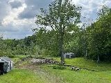 Tree And Yard Renovations photo 7