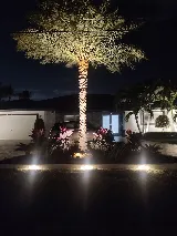 Five Star Landscaping photo 8