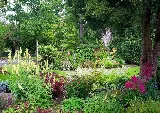 Turk Landscape Design