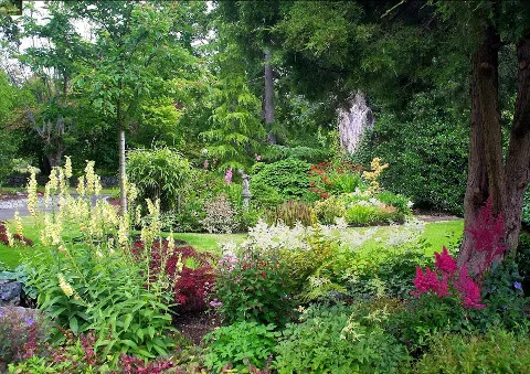 Turk Landscape Design in Victoria
