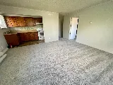 Romanoff Renovations