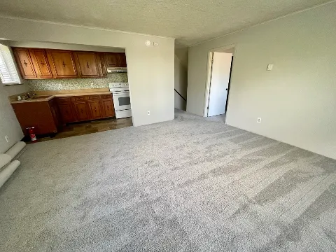 Romanoff Renovations photo 1