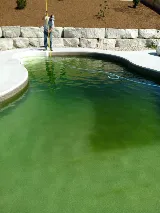 Coastal Pools Inc. photo 6