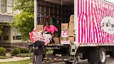 Pink Zebra - Chesterfield