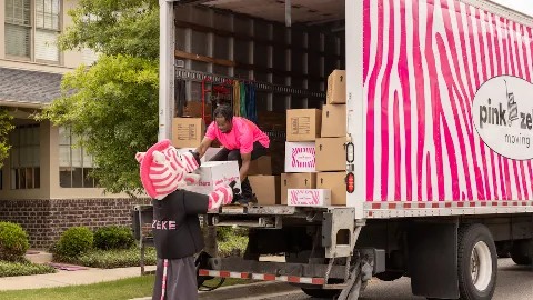 Pink Zebra - Chesterfield in Chesterfield