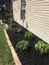 Going the Extra Mile Landscaping photo 2