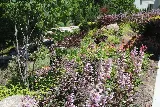 RJ Lawn & Landscape photo 7