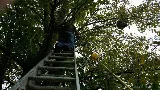 D&j pest control photo 3