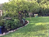 Island Eco-Scapes