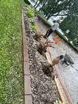 Scape It - Landscaping and Grading photo 7