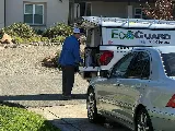 EcoGuard Pest Management photo 5