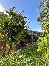 Conde Landscaping Services, INC. photo 2