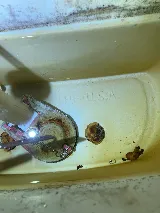 Pilot Plumbing and Drain of Vancouver photo 6