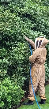 Greater NH Pest Control photo 6