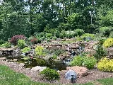 Lemcke Landscape photo 8