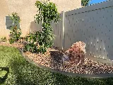 Inland Empire Landscape Inc. photo 5