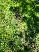 Mow-It-Alls, LLC photo 7