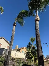 E N D Landscaping photo 3