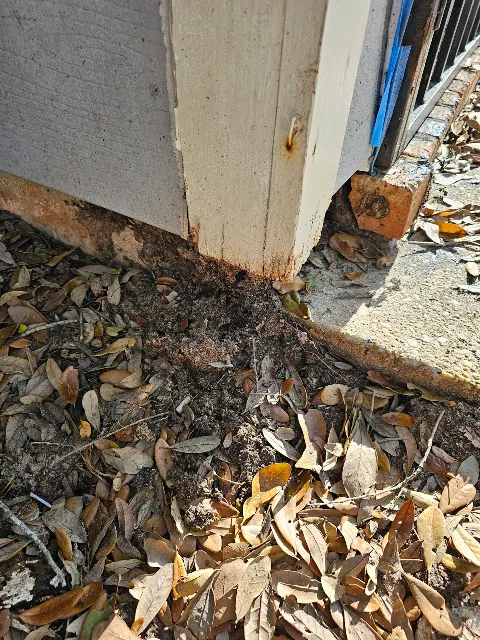 Terminator Pest Control in Mobile