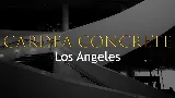 Cardea Concrete Contractors in Los Angeles