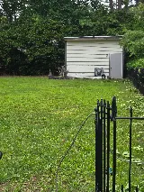 Moxie Pest Control photo 8