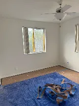 Dallas Paints photo 9